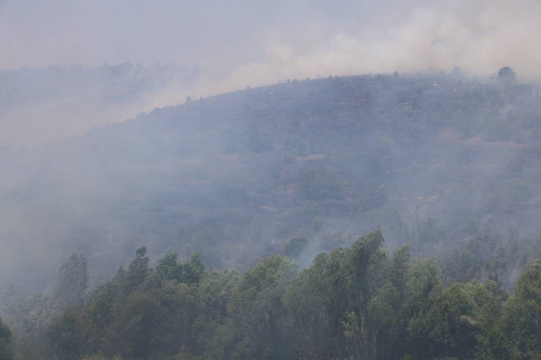 Elazığ'da orman yangını 45